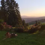 Dom Na Pawlikach Chalet Rzepiska
