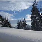 Dom Na Pawlikach Chalet *
