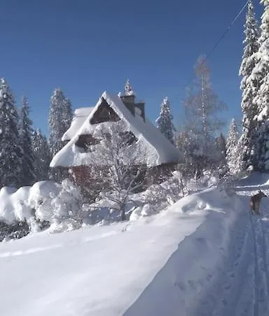 Chalet Dom Na Pawlikach Rzepiska