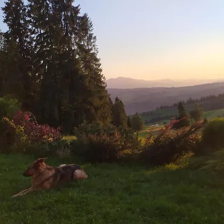 Dom Na Pawlikach Chalet Rzepiska