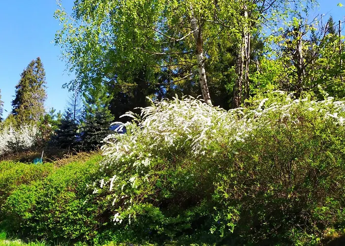 Dom Na Pawlikach Rzepiska